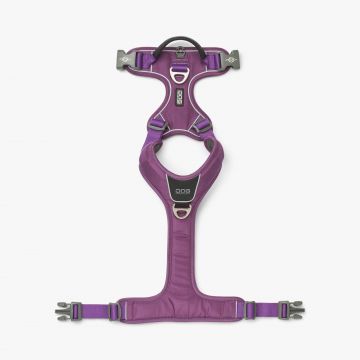 Dog Copenhagen Comfort Walk Pro™ Harness violetti