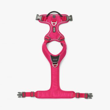 Dog Copenhagen Comfort Walk Pro™ Harness wild rose