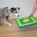 Nina Ottosson Dog Multipuzzle taso 4